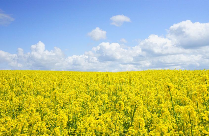 ¿Cómo crecer más allá de uno mismo?